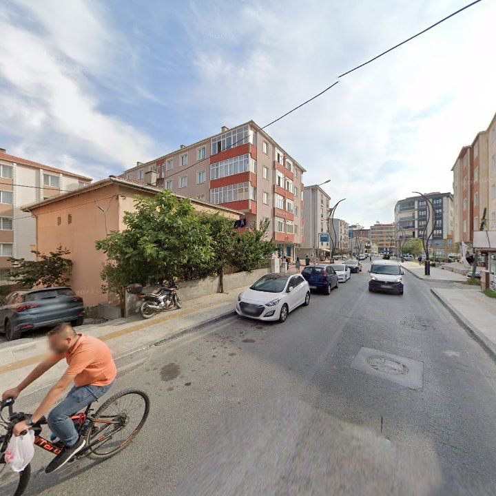 Fotoğraf 7
