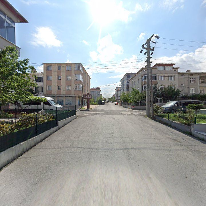 Fotoğraf 11