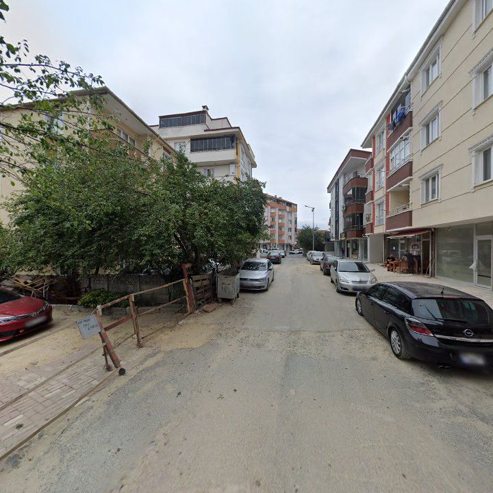 Fotoğraf 12