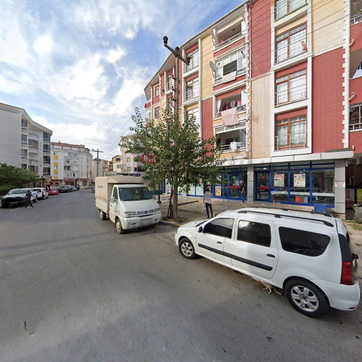 Fotoğraf 8