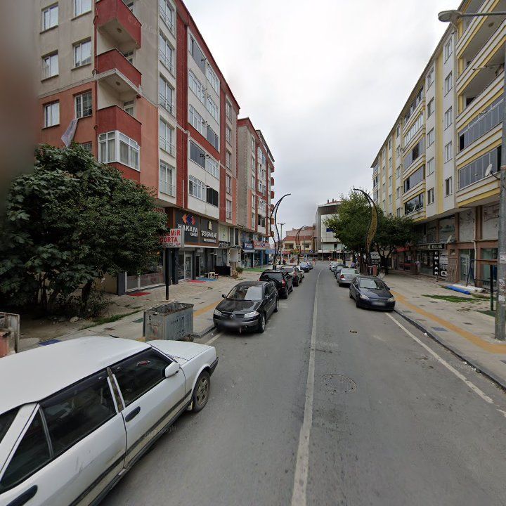 Fotoğraf 8