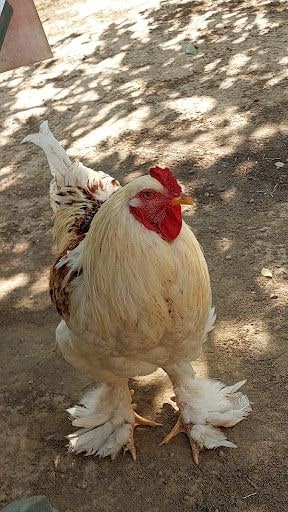 Yorum fotoğrafı 5