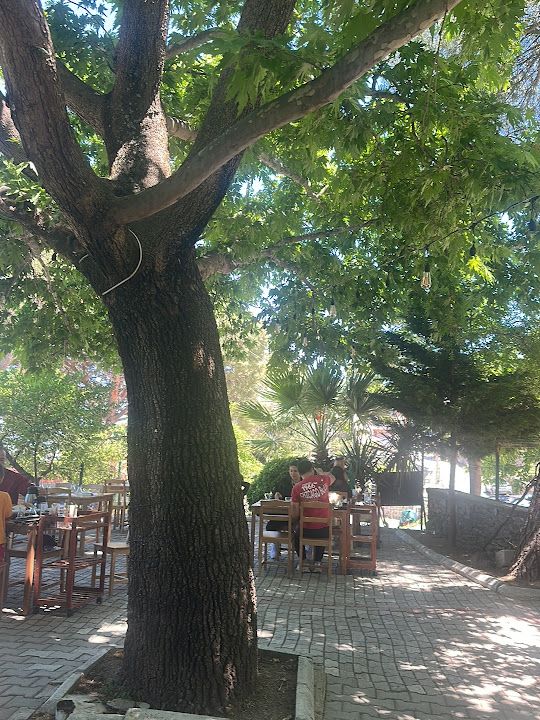 Fotoğraf 35