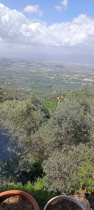 Fotoğraf 57