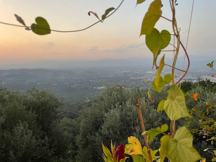 Fotoğraf 53
