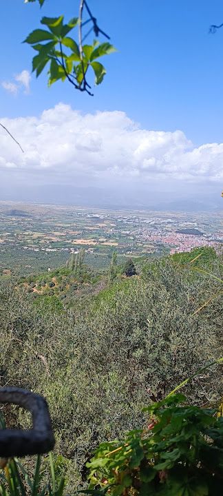 Fotoğraf 58
