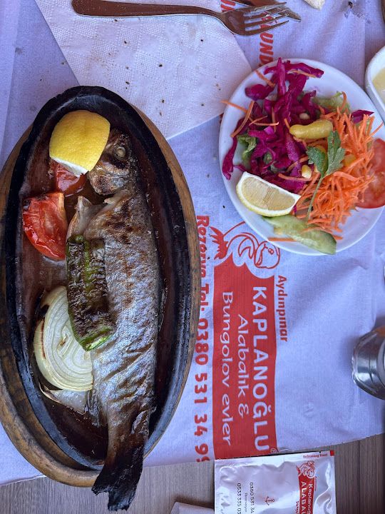 Fotoğraf 36