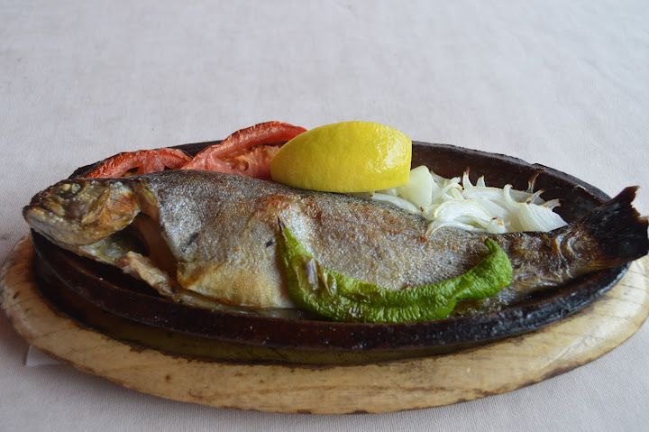 Fotoğraf 33