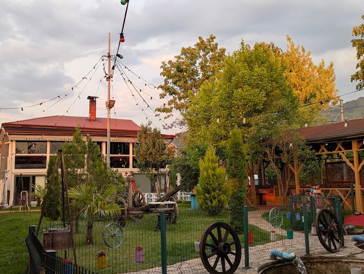 Fotoğraf 34