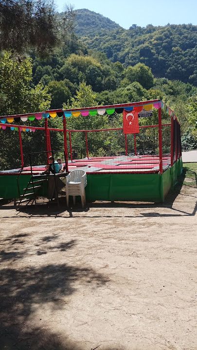 Yorum fotoğrafı 4