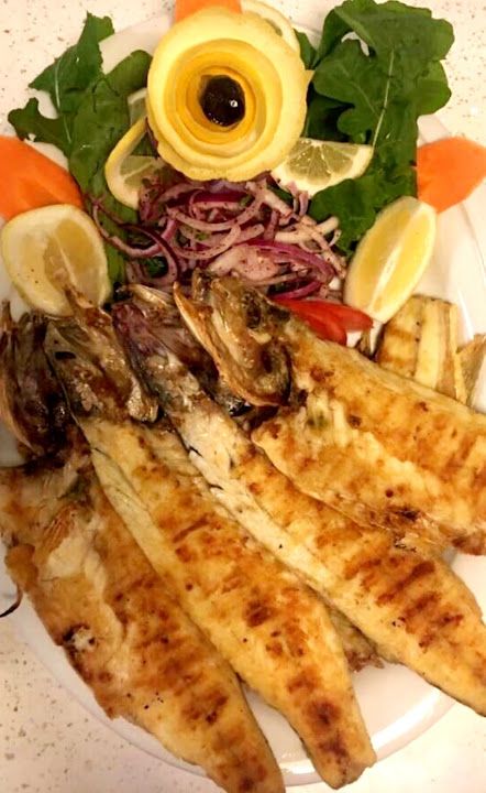 Fotoğraf 24