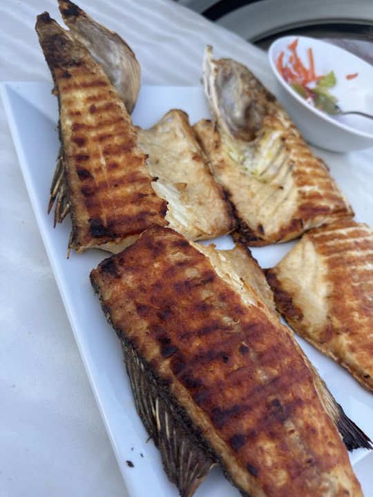 Fotoğraf 23