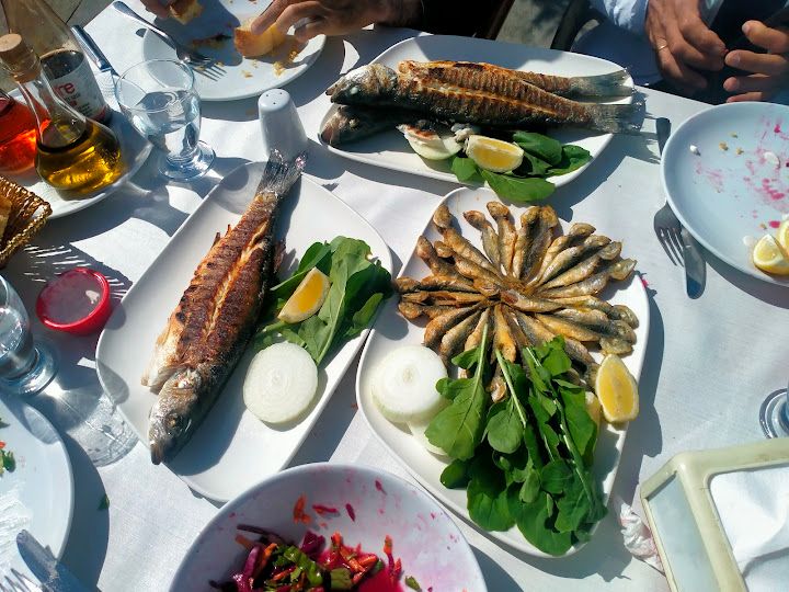 Fotoğraf 28