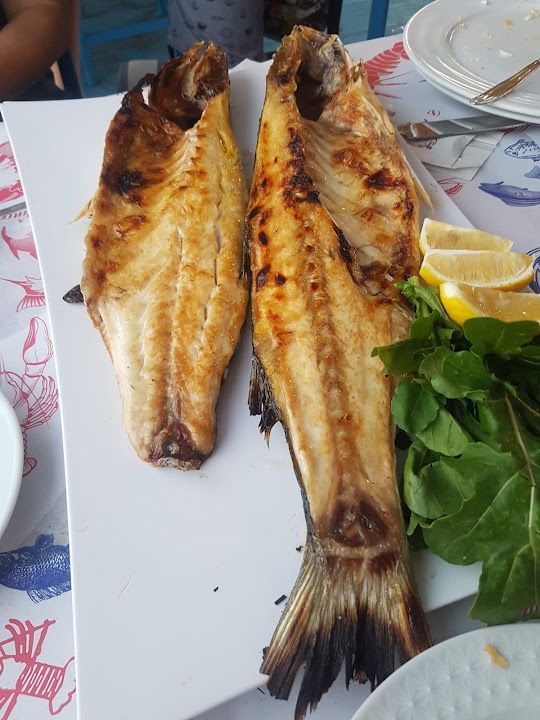 Fotoğraf 37