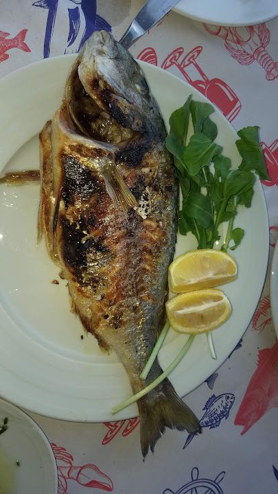 Fotoğraf 44