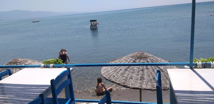 Fotoğraf 45