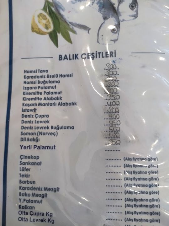 Fotoğraf 24