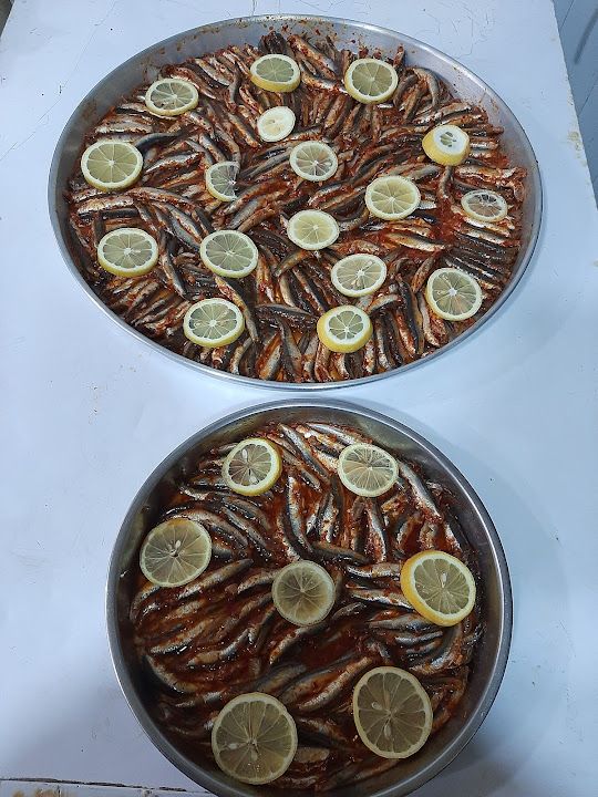 Fotoğraf 13