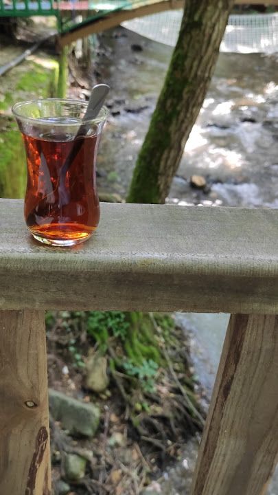 Fotoğraf 24