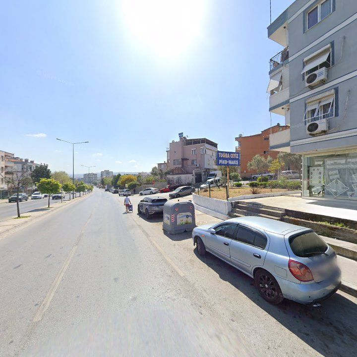 Fotoğraf 11