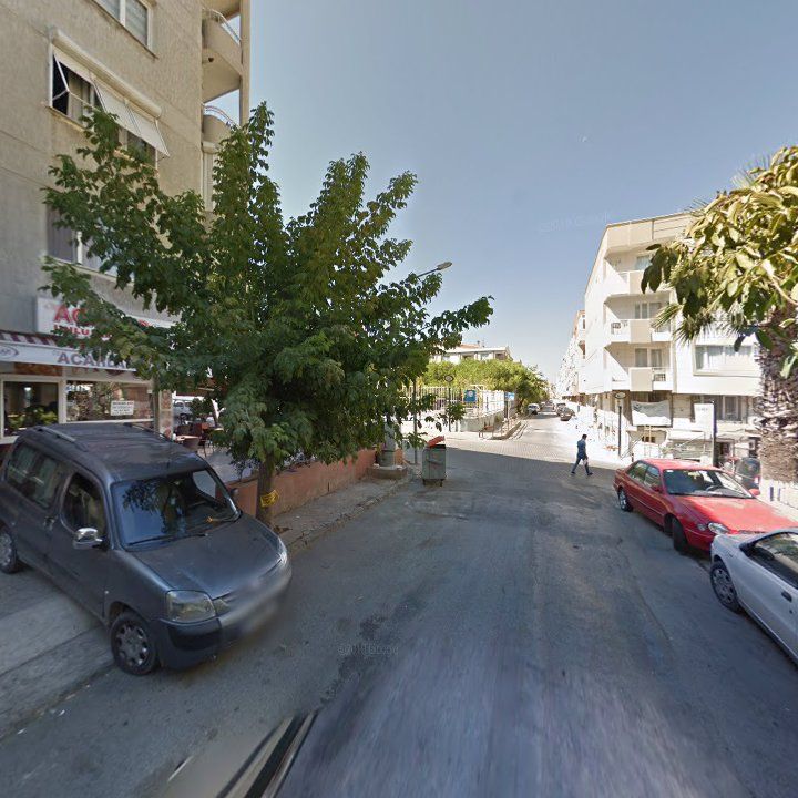 Fotoğraf 8