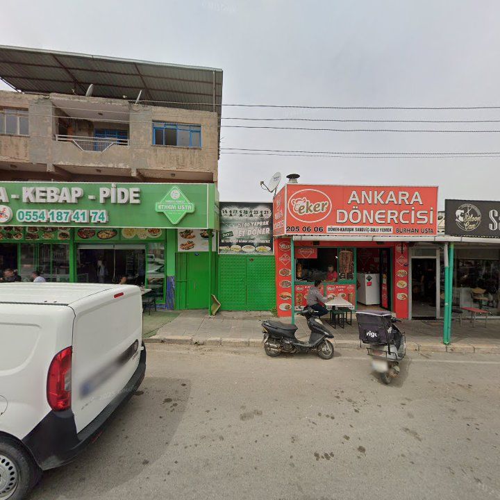 Fotoğraf 7