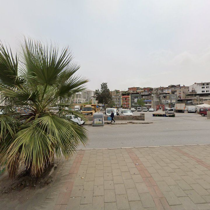 Fotoğraf 9