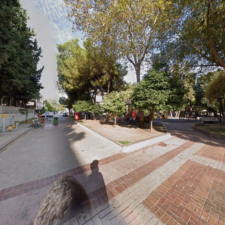 Fotoğraf 6