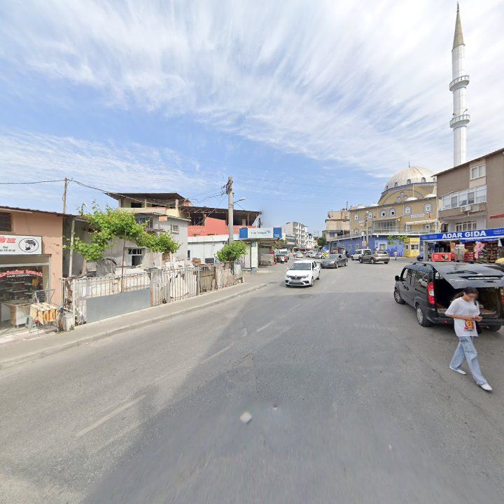 Fotoğraf 11