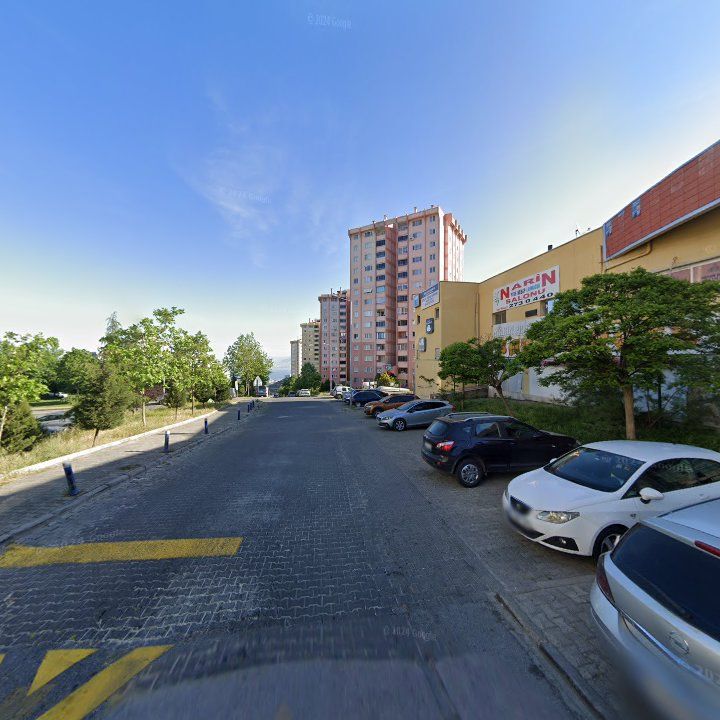 Fotoğraf 8