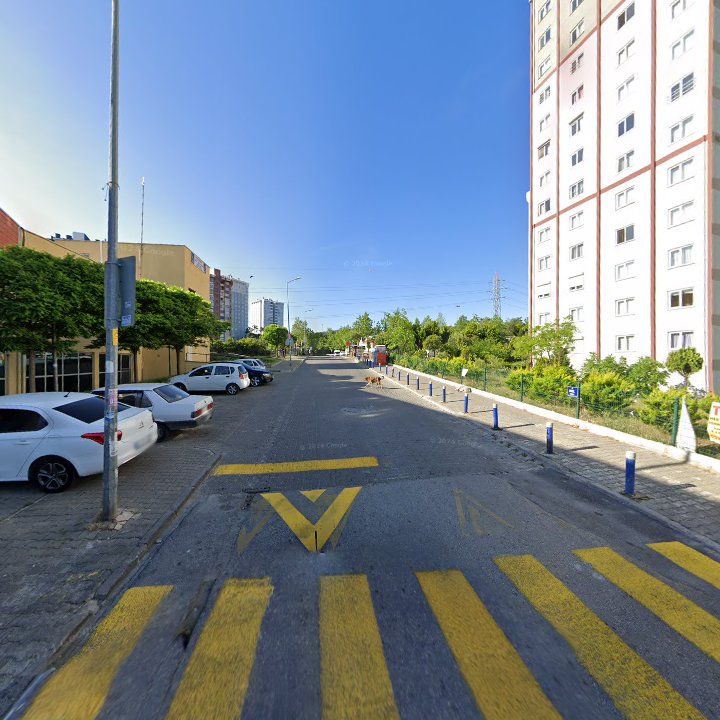 Fotoğraf 6