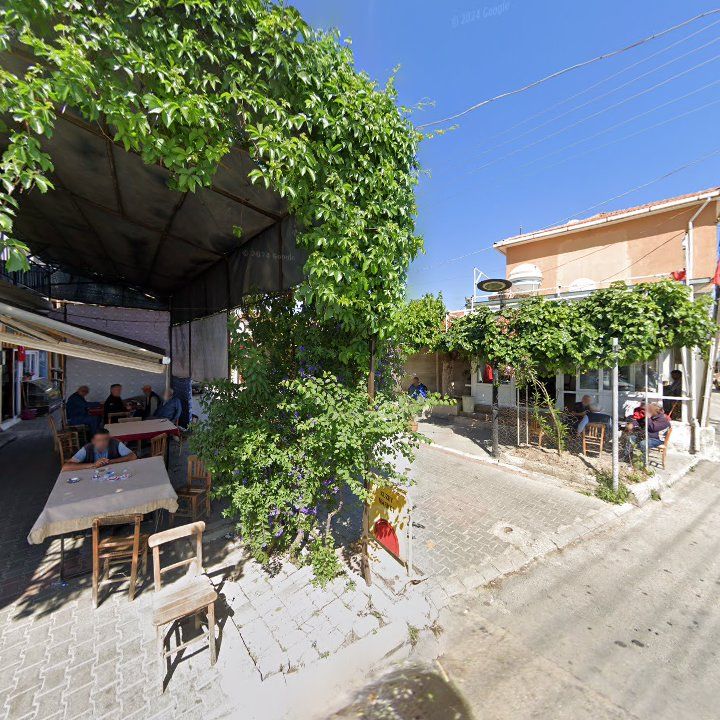 Fotoğraf 3