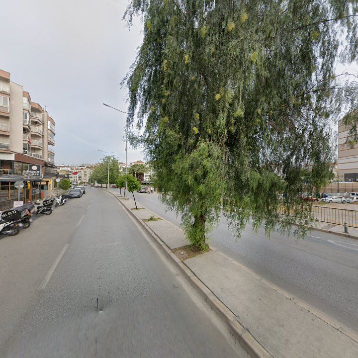 Fotoğraf 12