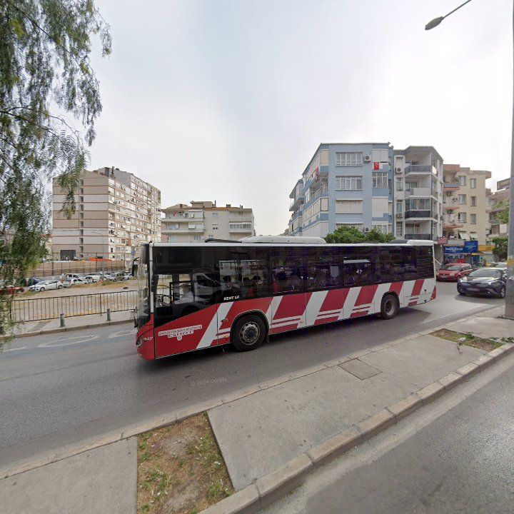 Fotoğraf 13