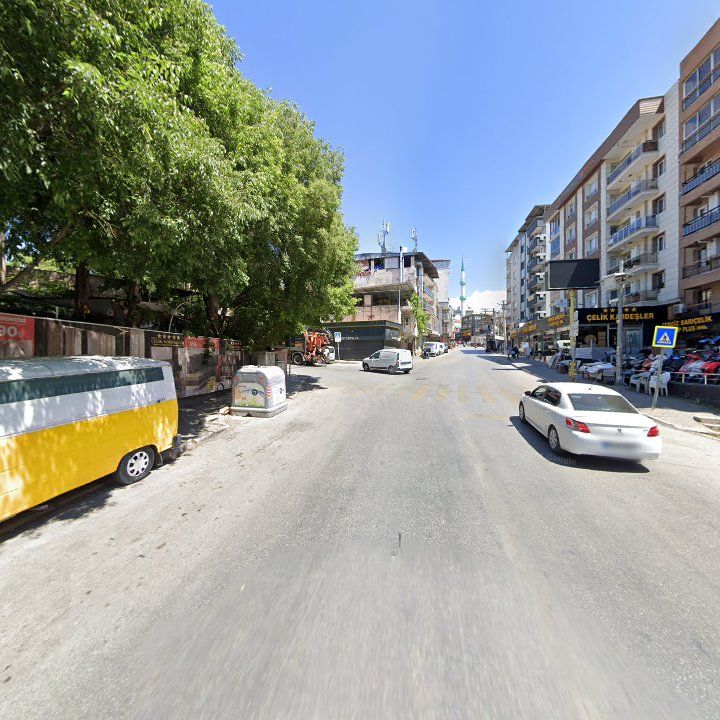 Fotoğraf 8
