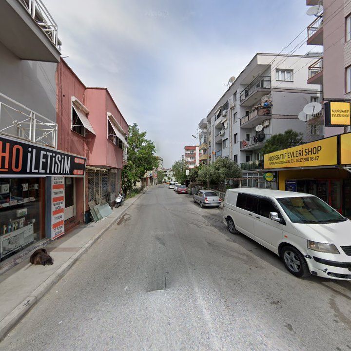 Fotoğraf 6