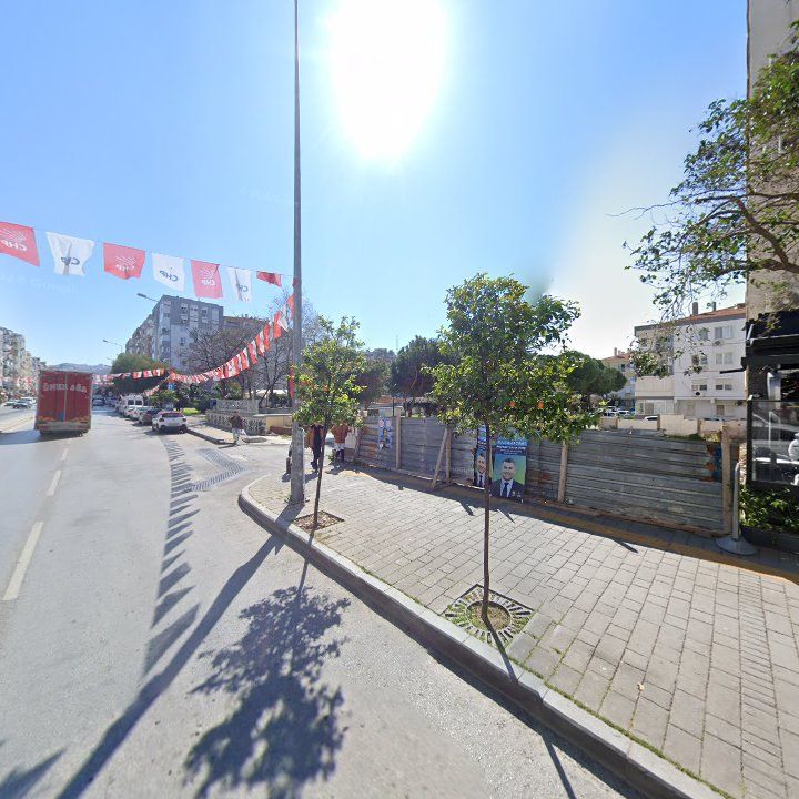 Fotoğraf 11