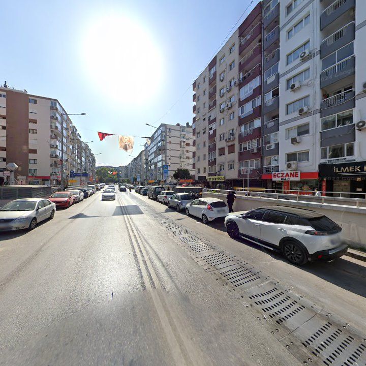 Fotoğraf 10
