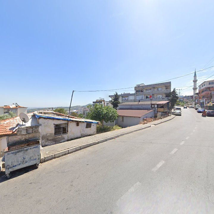 Fotoğraf 5