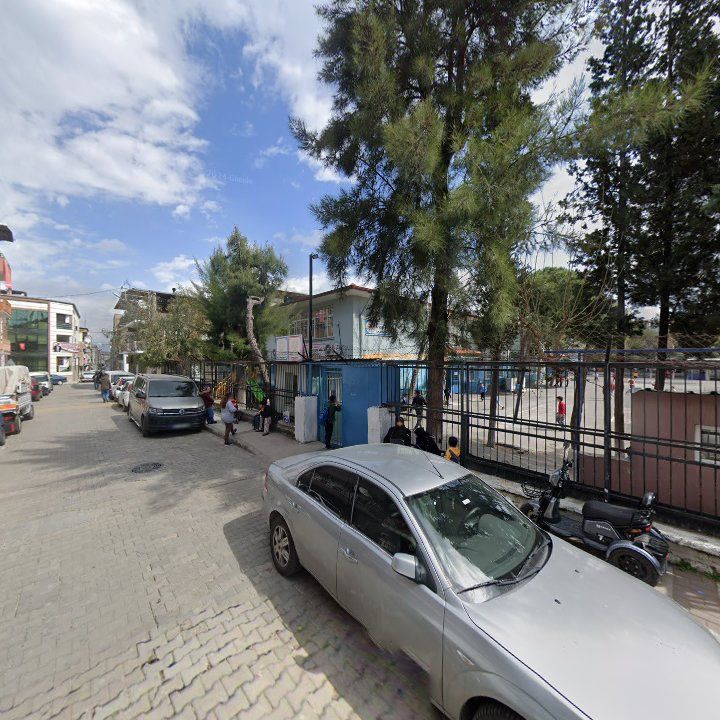Fotoğraf 6