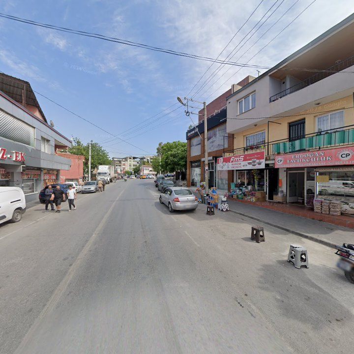 Fotoğraf 8