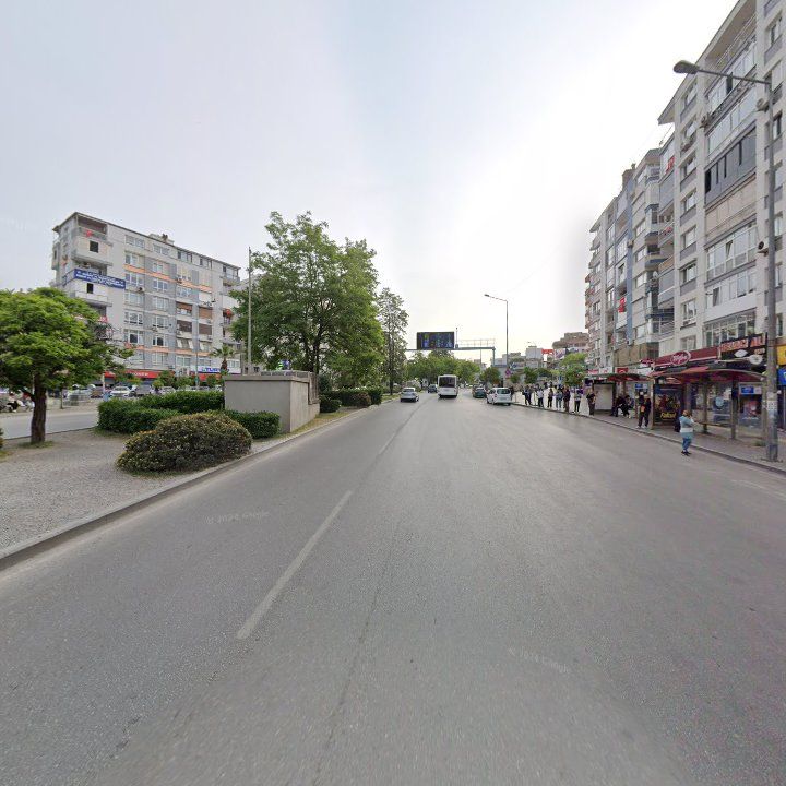 Fotoğraf 10