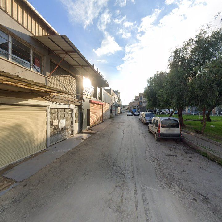 Fotoğraf 7