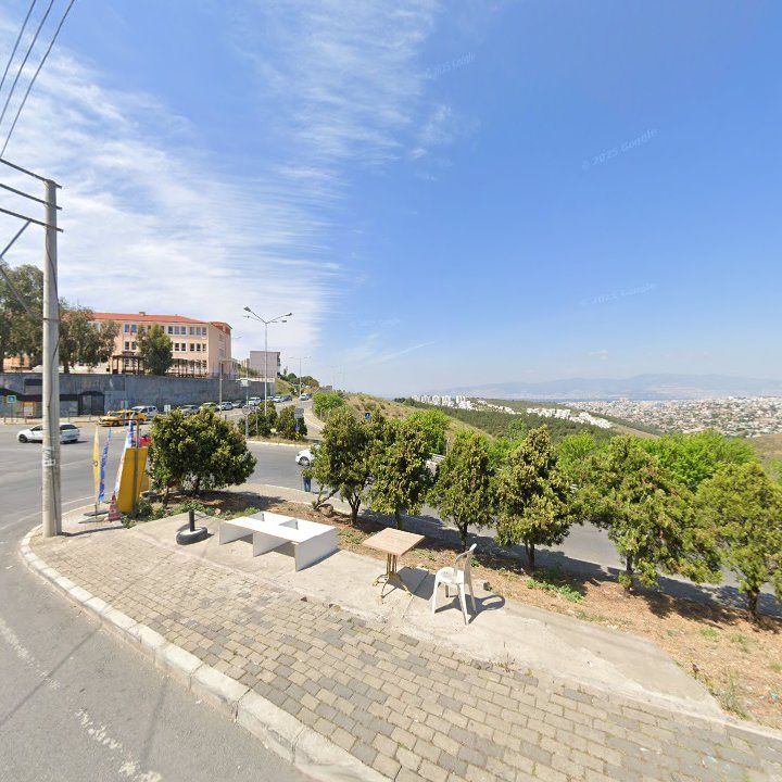 Fotoğraf 7