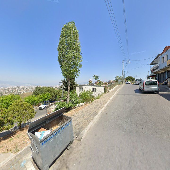 Fotoğraf 8