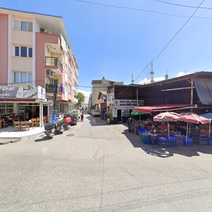 Fotoğraf 8