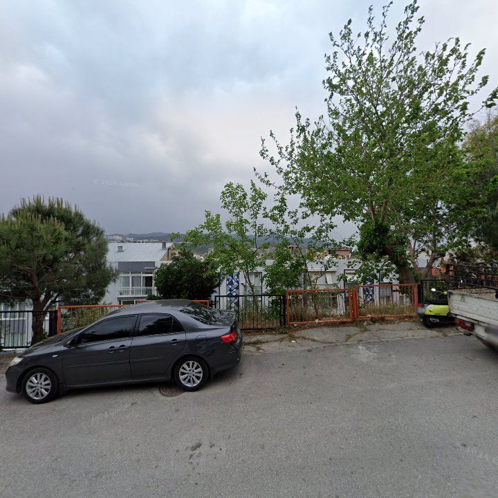 Fotoğraf 3