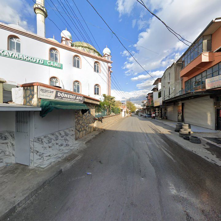 Fotoğraf 4