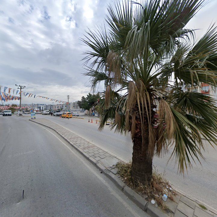 Fotoğraf 2