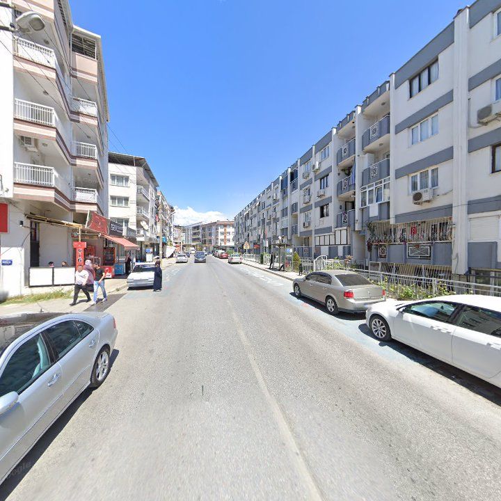 Fotoğraf 8